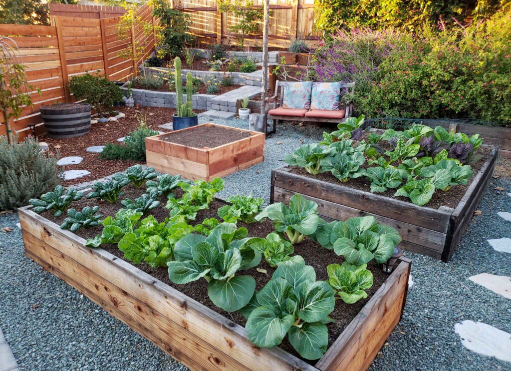 Best DIY Raised Bed Garden Ideas & Designs | Garden